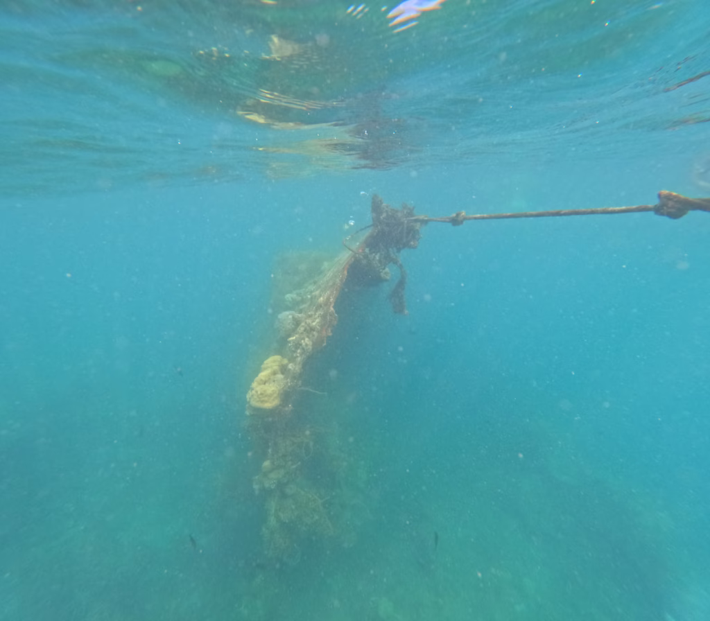 Onderwaterbeeld van een scheepswrak bij Coron, omringd door helder water, kleurrijke vissen en koraalriffen.
