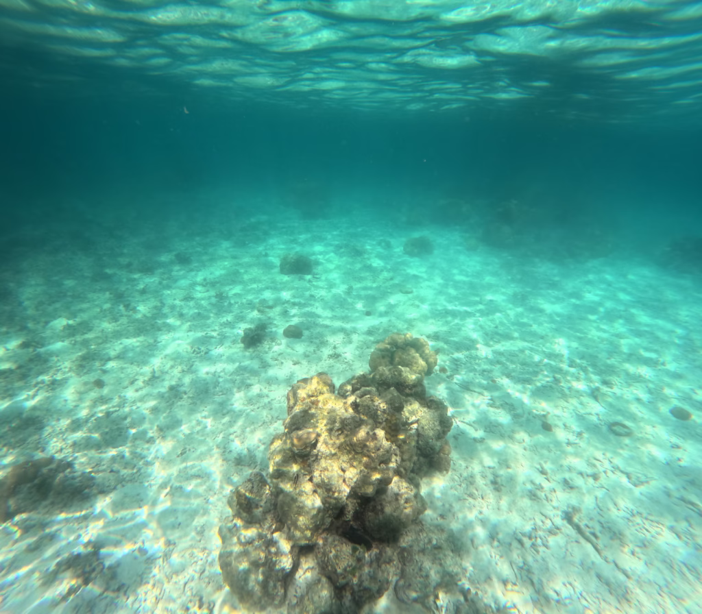 Onderwater foto in El Nido van de blauwe zee